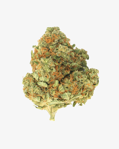 cheddar
