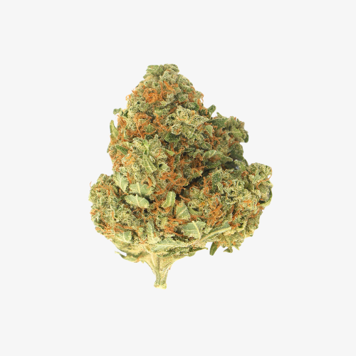 cheddar
