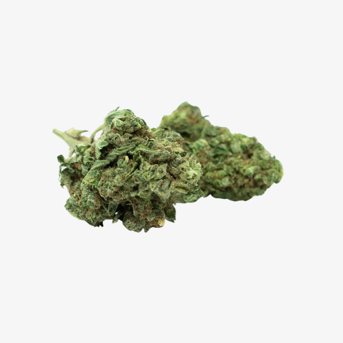gelato