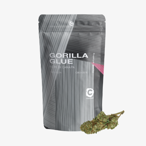 gorilla glue (2)