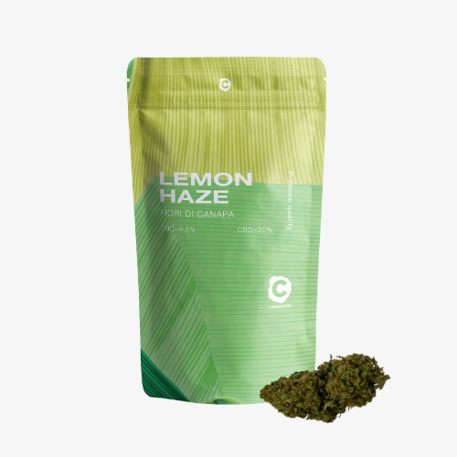 lemon haze (2)