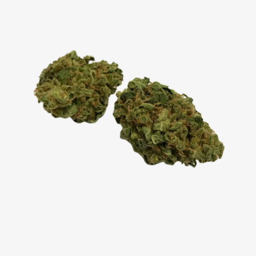 northern lights