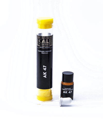 I terpeni nella Cannabis Light: cosa sono e i loro benefici